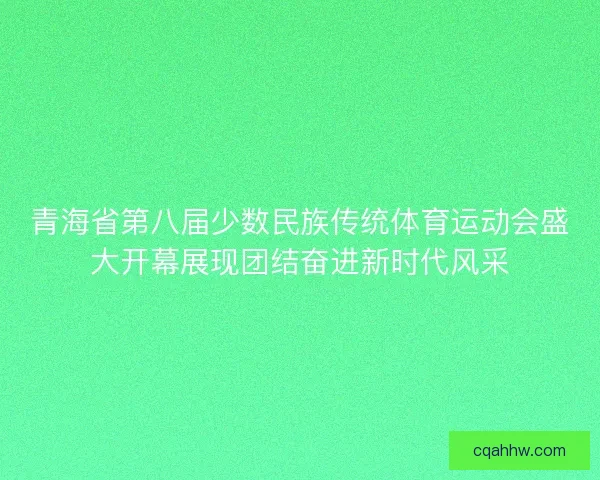 青海省第八届少数民族传统体育运动会盛大开幕展现团结奋进新时代风采